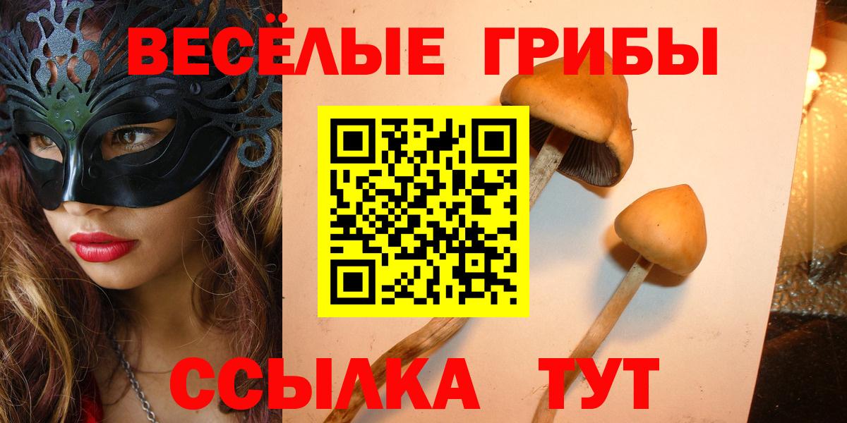 Псилоцибиновые грибы мицелий Краснодар